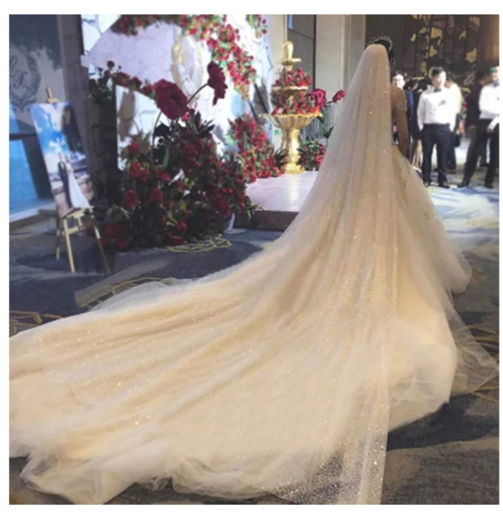 Cathedral 1 Tier Bride Wedding Veil Sparkling Long Bridal Tulle Veil with Comb Drop Veil Cut Edge for Bride (118''W,