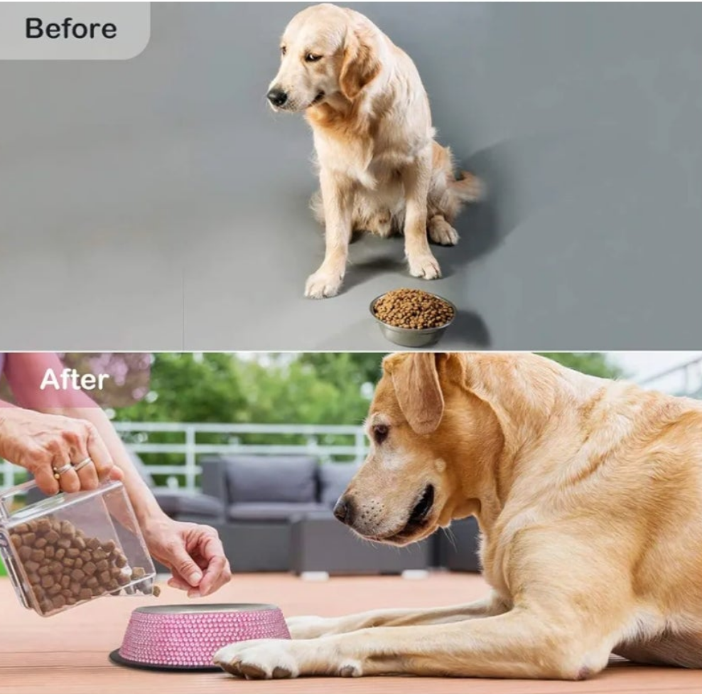 Rhinestone Pet Bowls, Bling Dog Cat Bowl Stainless Steel for Pets Food Water Dishes-2 Pack or single bowl