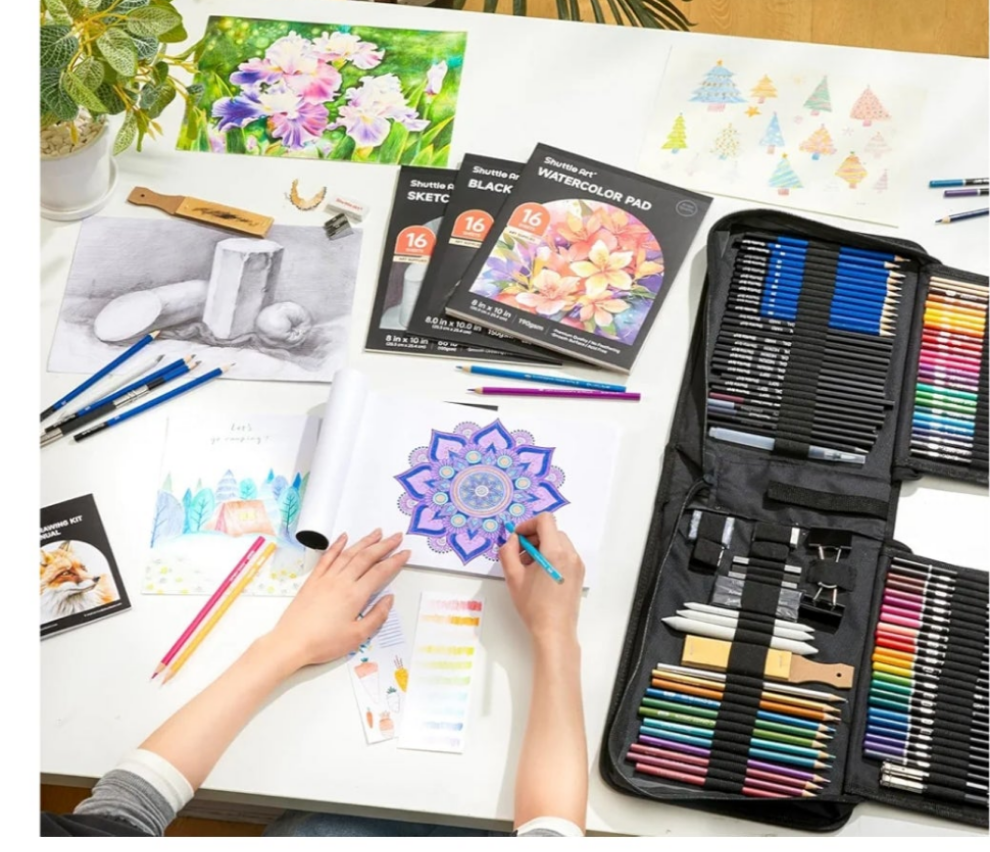 116 PCS Drawing Kit, Professional Drawing Supplies with Sketch, Charcoal, Colored, Graphite, Pastel Pencils & Sticks, Complete Drawing Tools and Paper Pads in Zipper Case for Artists&Kids