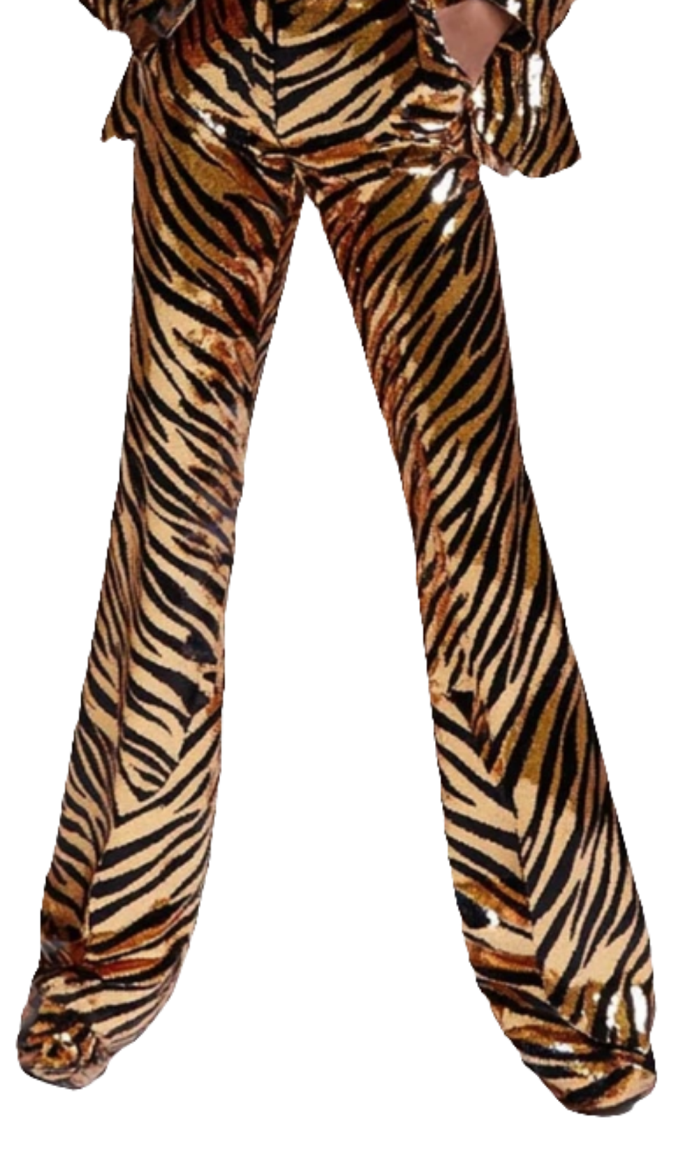 COCOMONEY Tiger Pattern Sequined Blazer Two Piece Pants Set-Gold