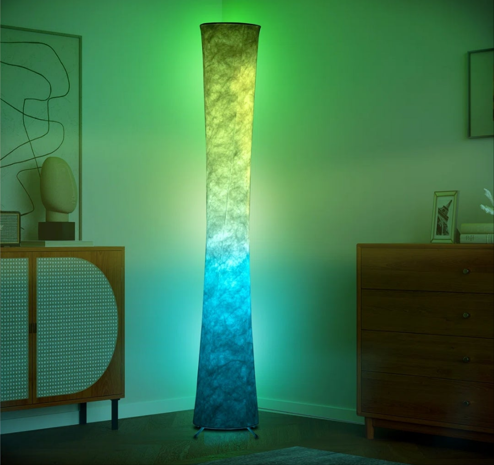 LED Dimmable Novelty Floor Lamp with Remote and APP Control