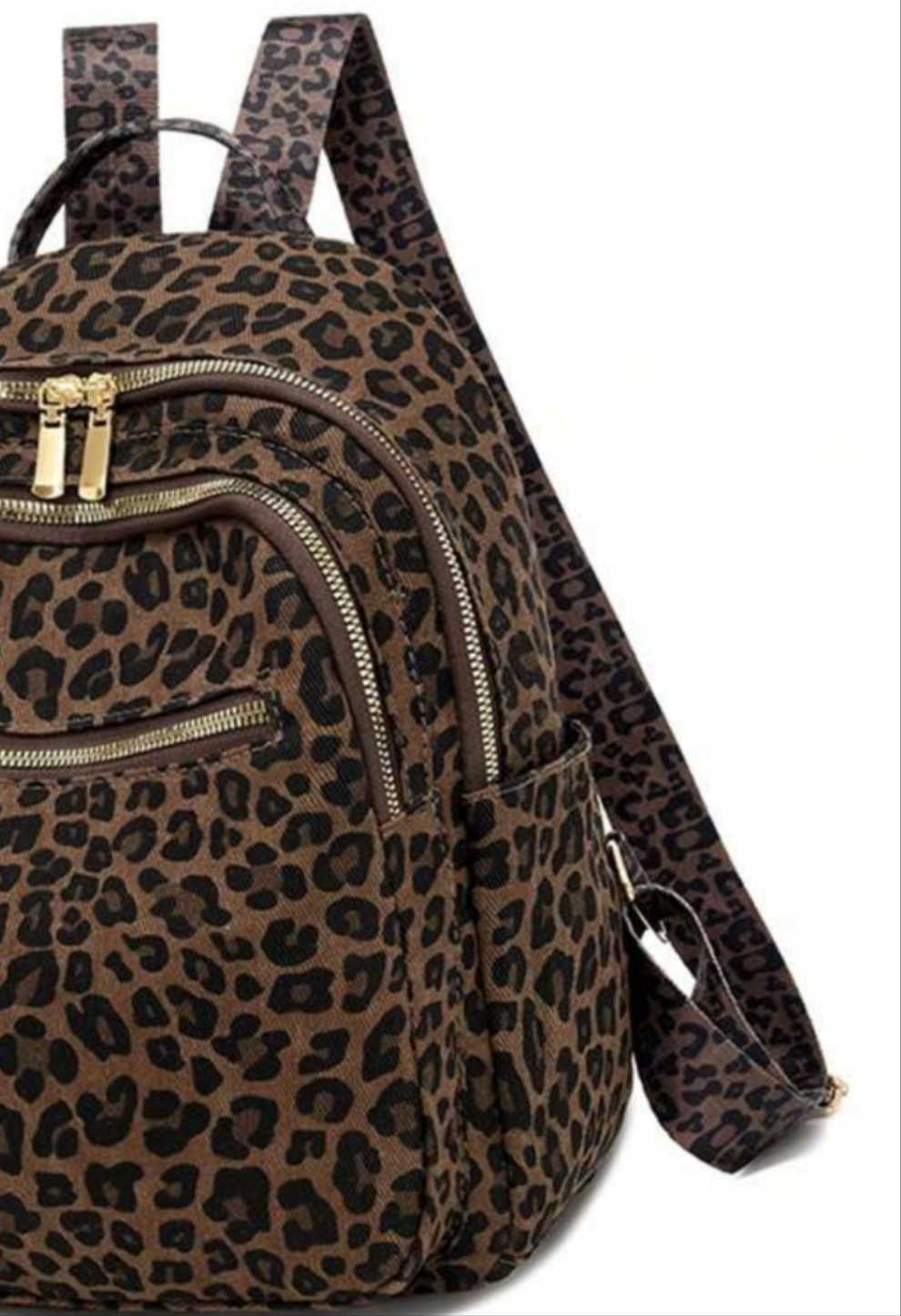 COCOMONEY Animalistic
