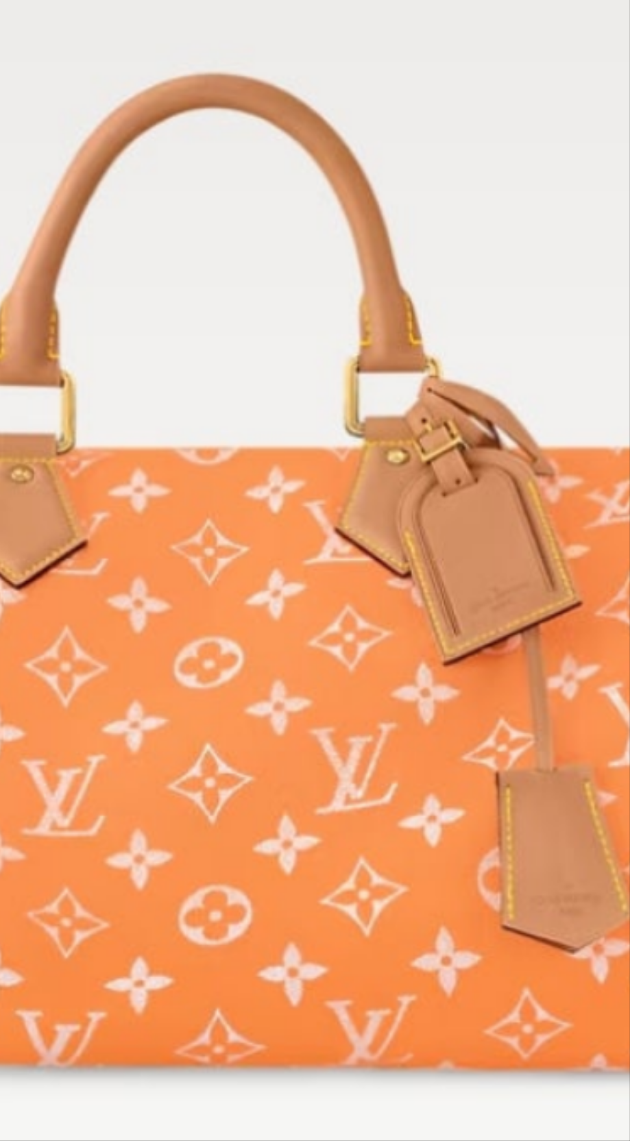 Louis Vuitton Speedy P9 Bandouliere
40 Pink Agate