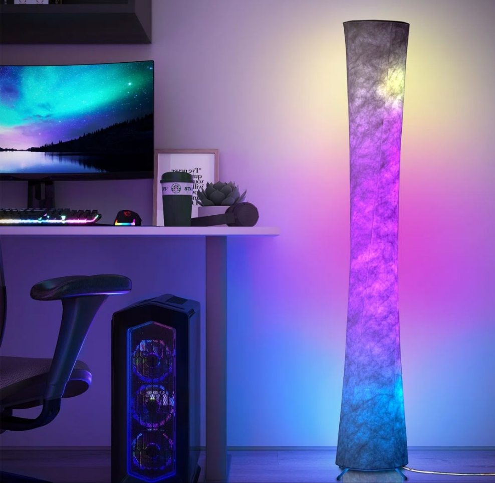 LED Dimmable Novelty Floor Lamp with Remote and APP Control