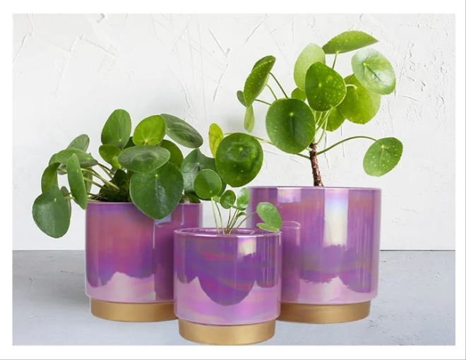 3 Pots for Plants, Ceramic Planter with Drainage Hole, 6.0 inch+5.0 Inch+4.0 Inch. Succulent Orchid Flower Pot - Rainbow Pearl Glaze