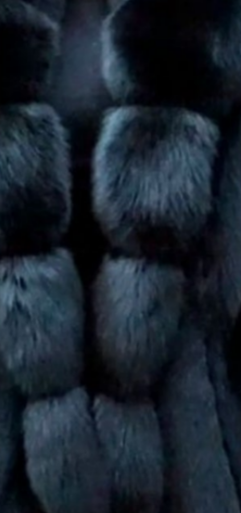 Black Fox Fur Coat Full Length Medium to Large