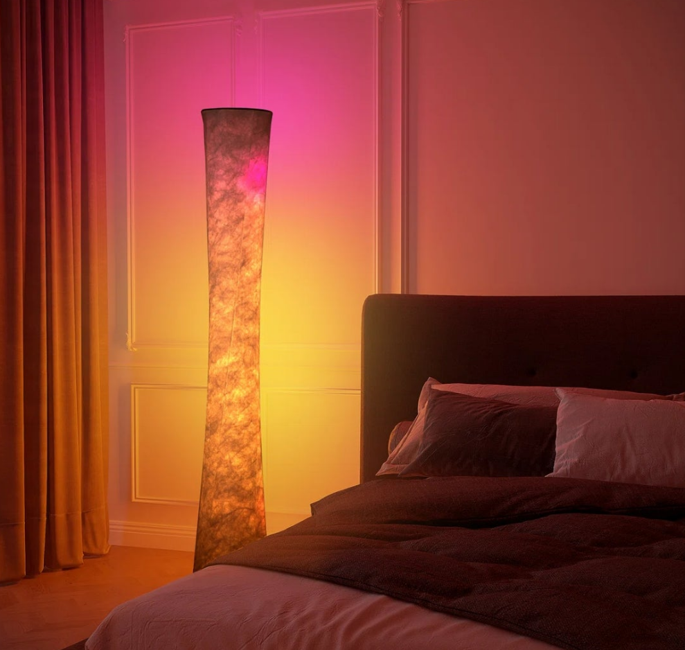 LED Dimmable Novelty Floor Lamp with Remote and APP Control