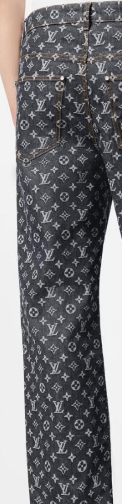 Louis Vuitton Monogram Jacquard Denim and Jacket Monogram Jacquard Denim Skate Pants 2 piece outfit