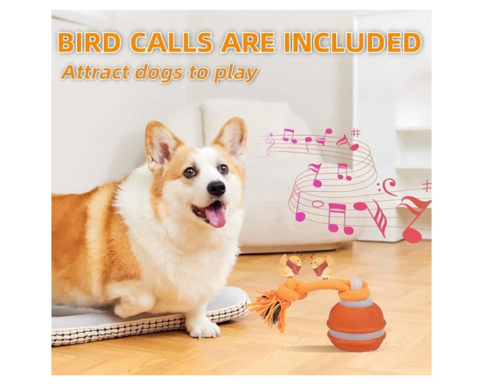 Active Rolling Ball Dogs and Cats, Squeaky, USB Rechargeable
