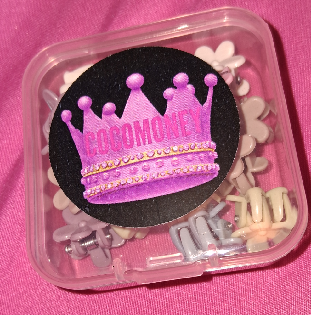 COCOMONEY HAIR CLIPS MULTICOLOR plastic