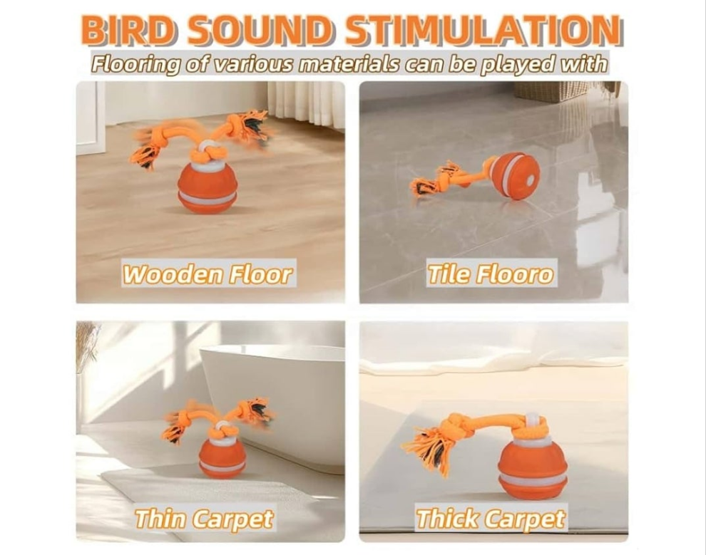 Active Rolling Ball Dogs and Cats, Squeaky, USB Rechargeable