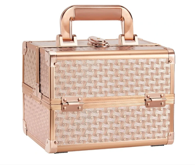 Makeup Train Case Cosmetic Box 2-Tier Tray Jewelry Storage Organizer with Mirror Key Lock Portable Carrying Makeup Box