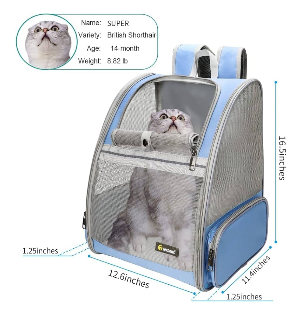 Pet Backpack Carrier for Small Cats Dogs | Ventilated Design, Safety Straps, Buckle Support, Collapsible | Designed for Travel, Hiking & Outdoor Use