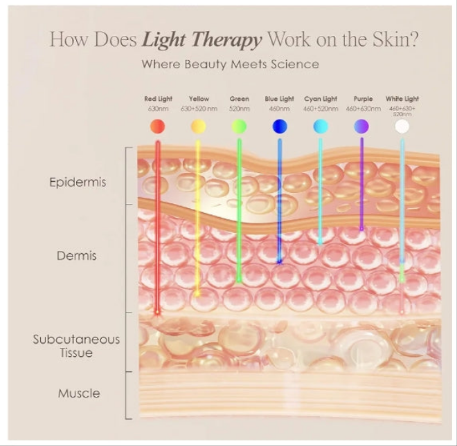 Skin Rejuvenation Photon Mask | LED Face Mask Light Therapy Red Blue Light Anti-Aging Wrinkle Spa Facial Treatment Home Skincare Mask