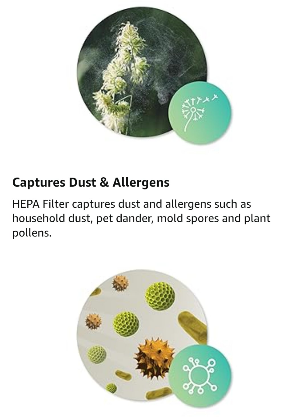 Air Purifier