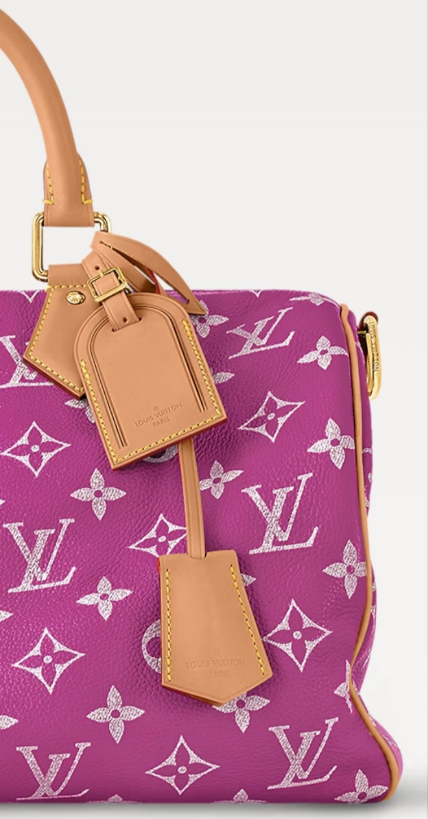 Louis Vuitton Speedy P9 Bandouliere
40 Pink Agate
