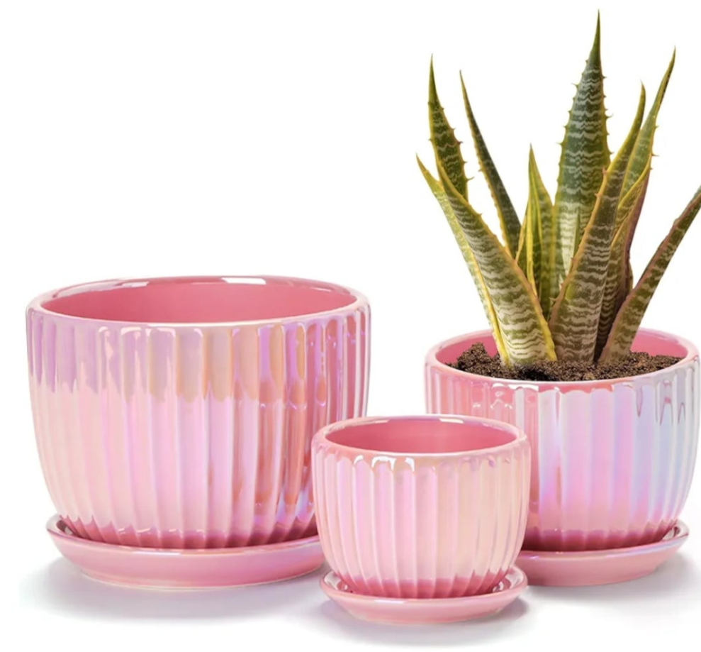 3 Ceramic Flower Pots,Yellow Plant Pots for Indoor Plants,4.1+5.1+6.5 inch Ceramic Plant Pots with Tray,Medium Indoor Planters for Aloe Cactus Decorative Pots with Drainage Hole (Set of 3)