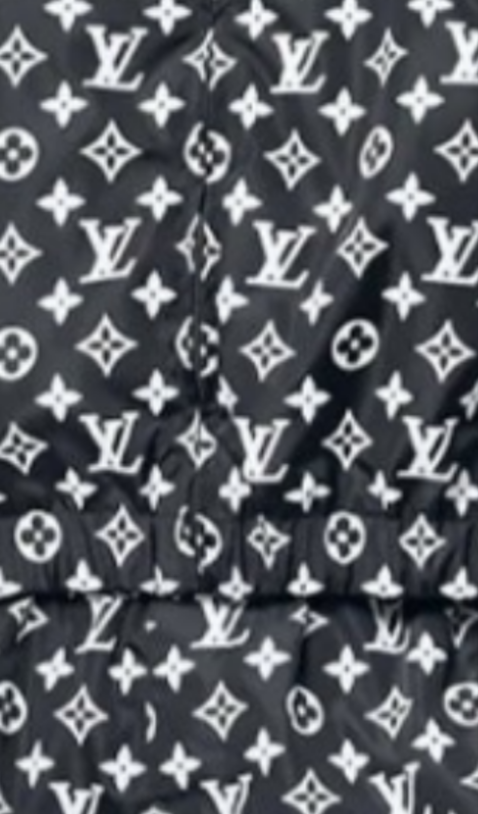Louis Vuitton Monogram Printed Technical Track Pants And Monogram Printed Technical Track Top 2 piece outfit