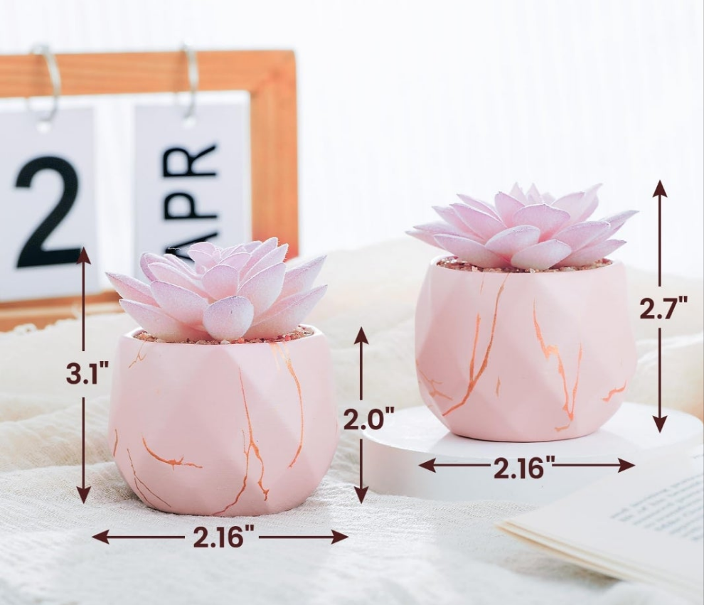 Artificial Succulent Plants in 2 Ceramic Pots, Cute Fake Plants for Vanity Decor,Office, Desk, Bathroom, Kitchen,Bedroom, Shelves Decor