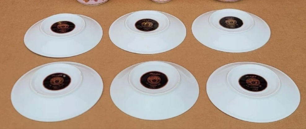 Le Jardin de Versace Rutherford Butterfly Garden Coffee Set 15 PIECES