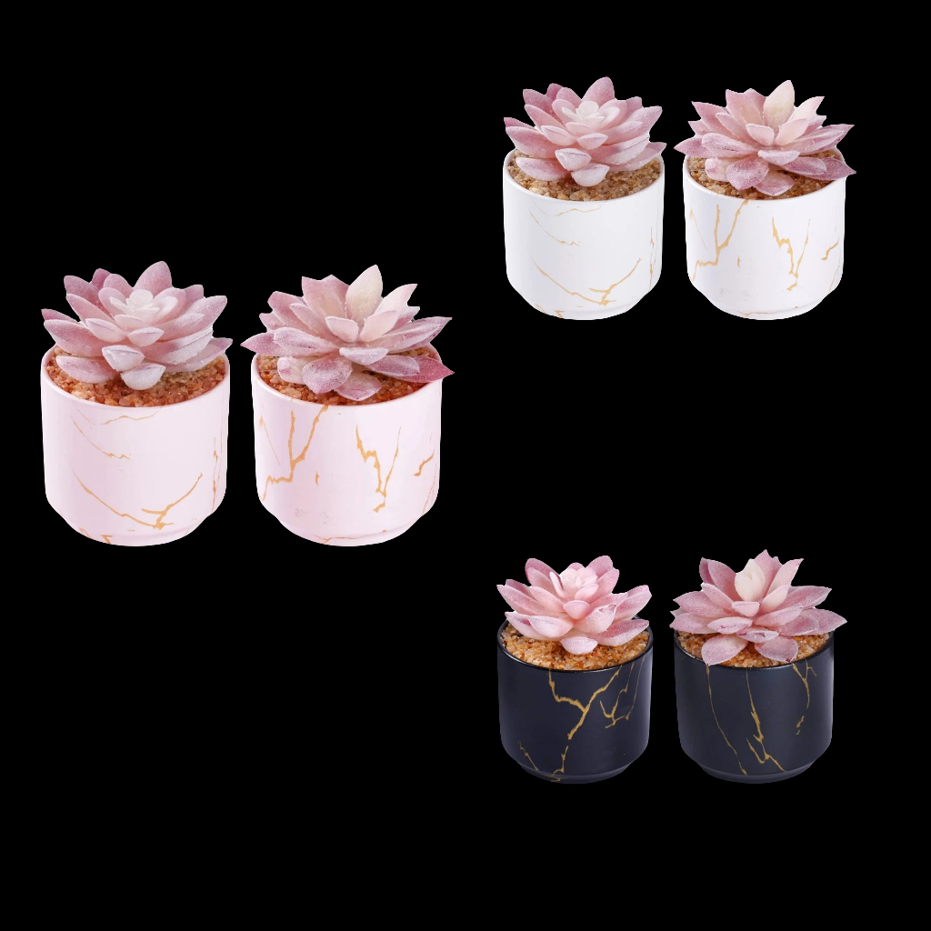 2 Ceramic Pots,Small Fake Plants for Office and Desk Decor,Bathroom, Bedroom,Shelves