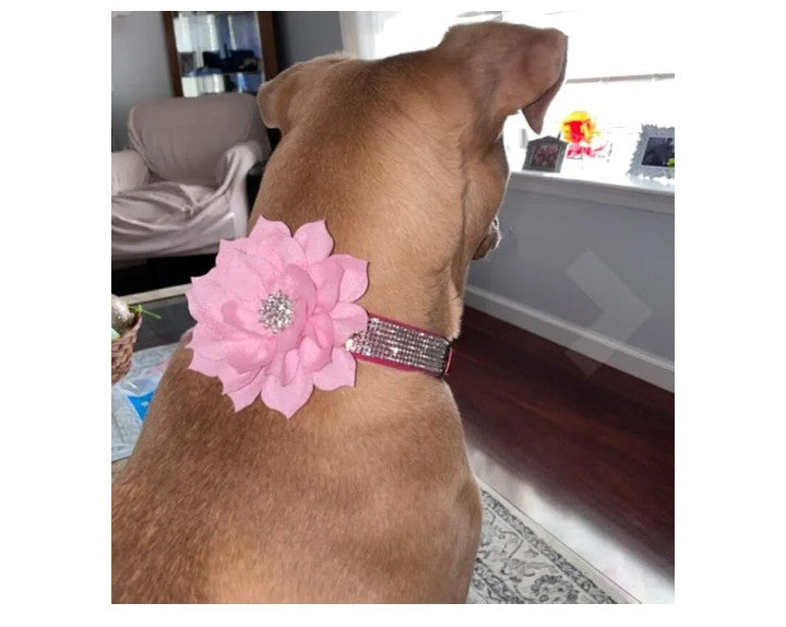 Rhinestone Bling Leather Dog Collar and Leash Set, Cute Dazzling Sparkling Soft Velvet Dog Cat Collar Crystal