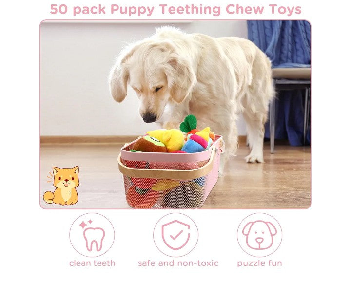 50 Pack Dog Squeaky Toys Set Cute Stuffed Plush Dog Toys Small Dog Toys with Ropes Bulk Puppy Chew Toys for Small Medium Dogs Puppies Pets Teething and Chewing