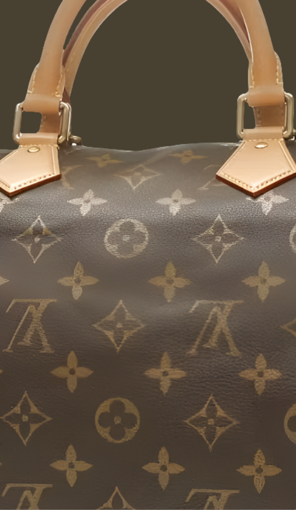 Louis Vuitton Speedy P9 Bandoulière 40
Monogram Leather Brown Monogram
