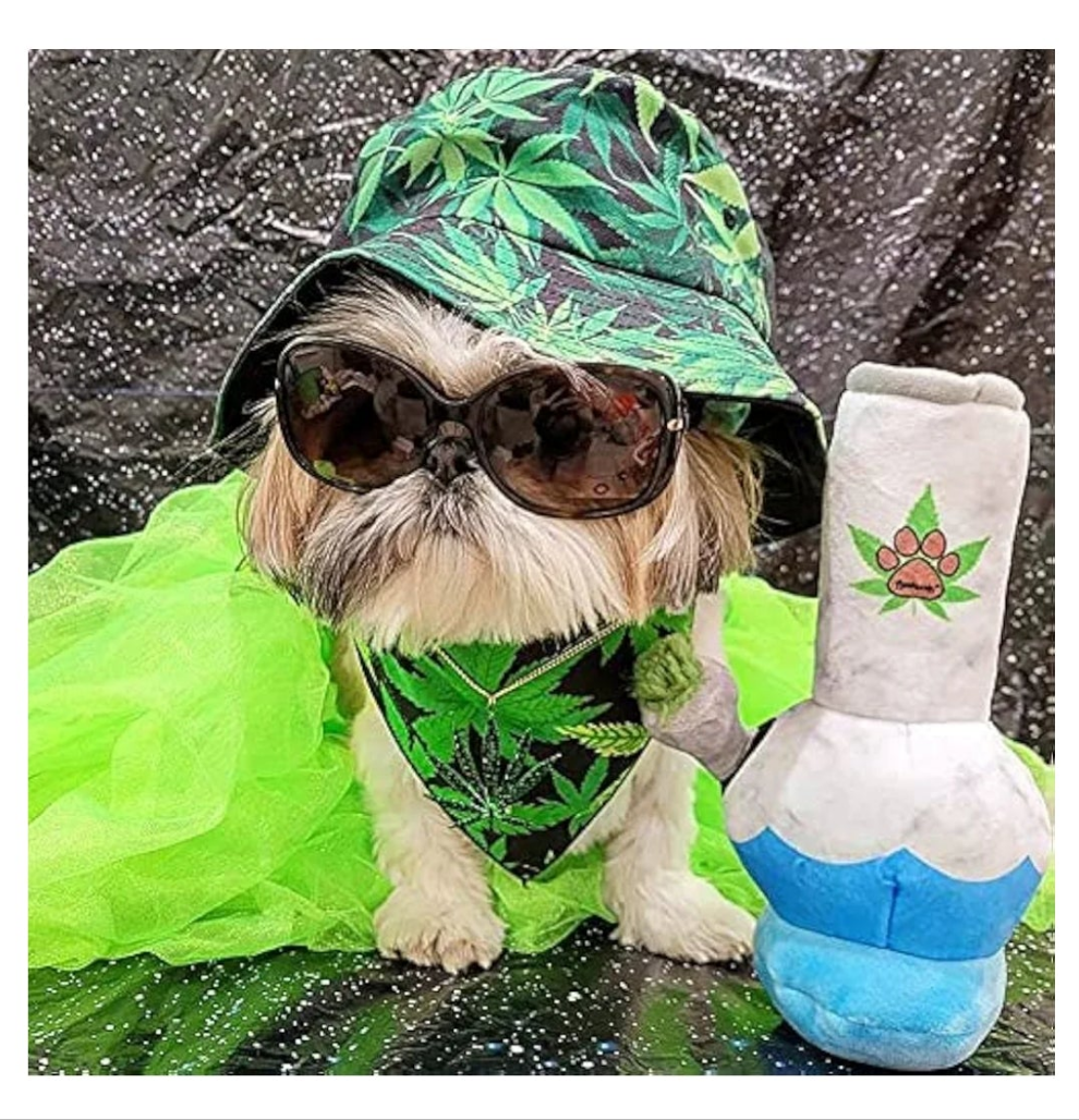 Puppy Chiefer 3000 - Funny Dog Toys - Plush Squeaky Weed for Medium, Small and Large - Cute Dog Gifts for Dog Birthday - Cool Stuffed Dog Toys