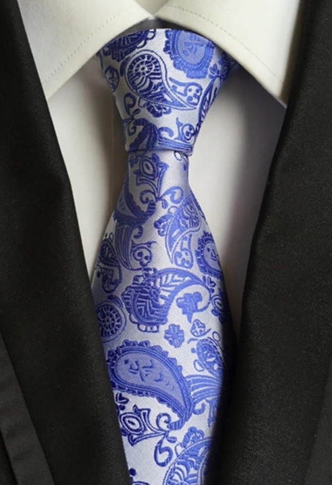 Lot 6 PCS Classic Men's Silk Tie Necktie Woven JACQUARD Neck Ties