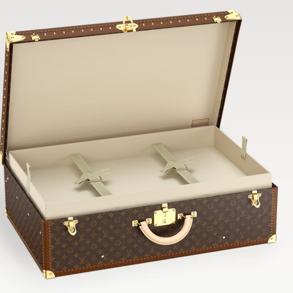 Louis Vuitton Luggage/Suitcase Alzer 80