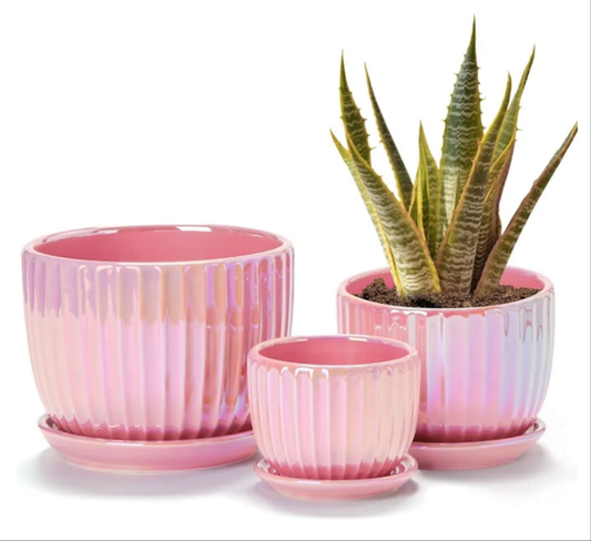 3 pack Pink Gold Ceramic Flower Pots, 4"+5"+6" Inch Small Glazed Succulent Planters with Drainage Hole,Modern Indoor Decorative Plant Pots Set of 3,Garden Pots with Saucer