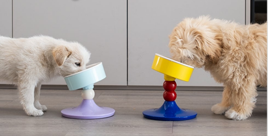 Ceramic Elevated Raised Cat Bowls,Cat Food Dish with Stand, 3 Height Adjustable Raised Dog Bowl Stand for Small Dogs Cats, Adjusts to 4.69", 5.98", 7.28"
