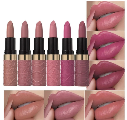 6 Pcs Brown Nude Pink Purple Red Lipstick Matte Sets,Light to Dark Velvet Lipstick for Women Long Lasting Waterproof 24 Hours Lip Stick