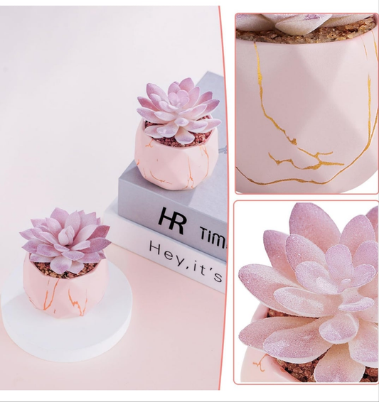 Artificial Succulent Plants in 2 Ceramic Pots, Cute Fake Plants for Vanity Decor,Office, Desk, Bathroom, Kitchen,Bedroom, Shelves Decor