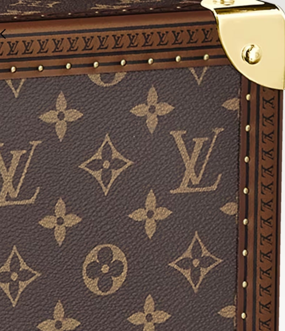 Louis Vuitton Luggage/Suitcase Alzer 80