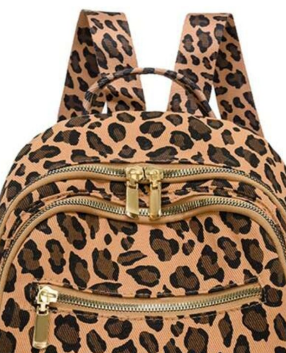 COCOMONEY Animalistic