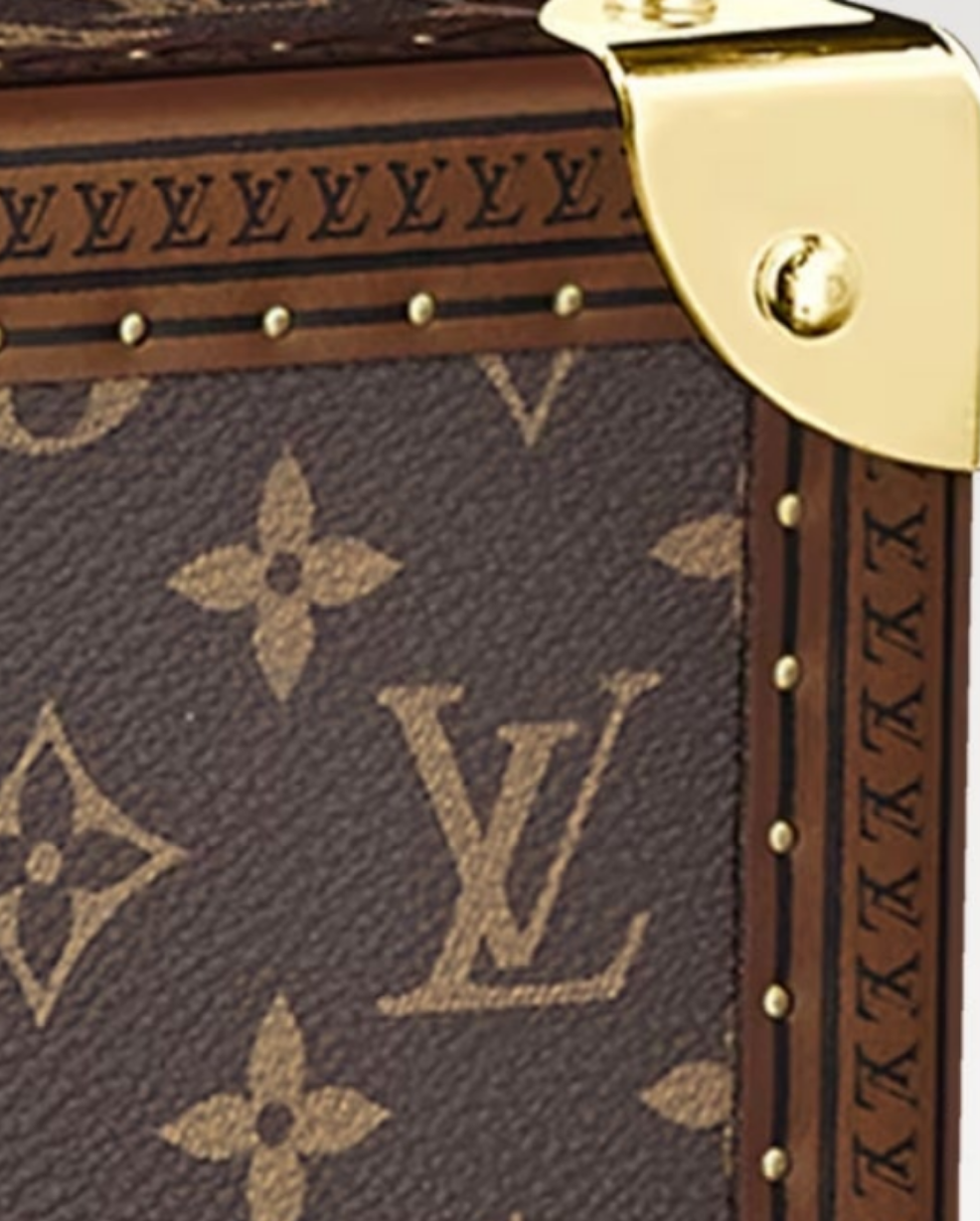 Louis Vuitton Luggage/Suitcase Alzer 80