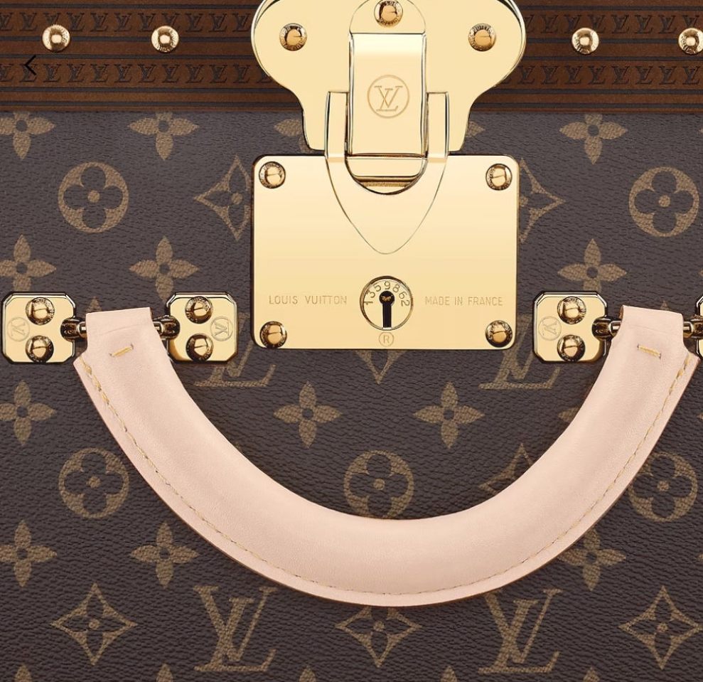 Louis Vuitton Luggage/Suitcase Alzer 80