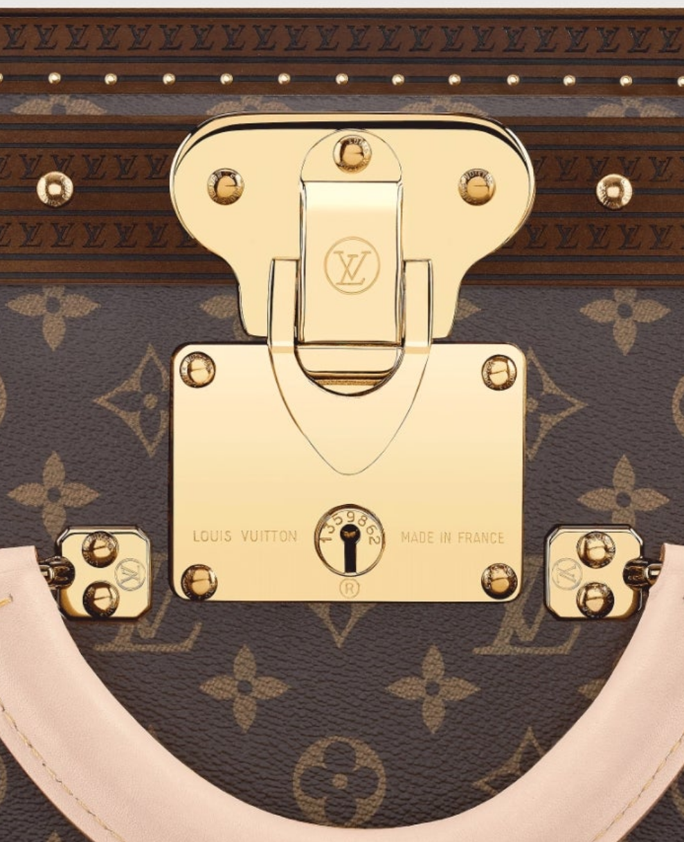 Louis Vuitton Luggage/Suitcase Alzer 80