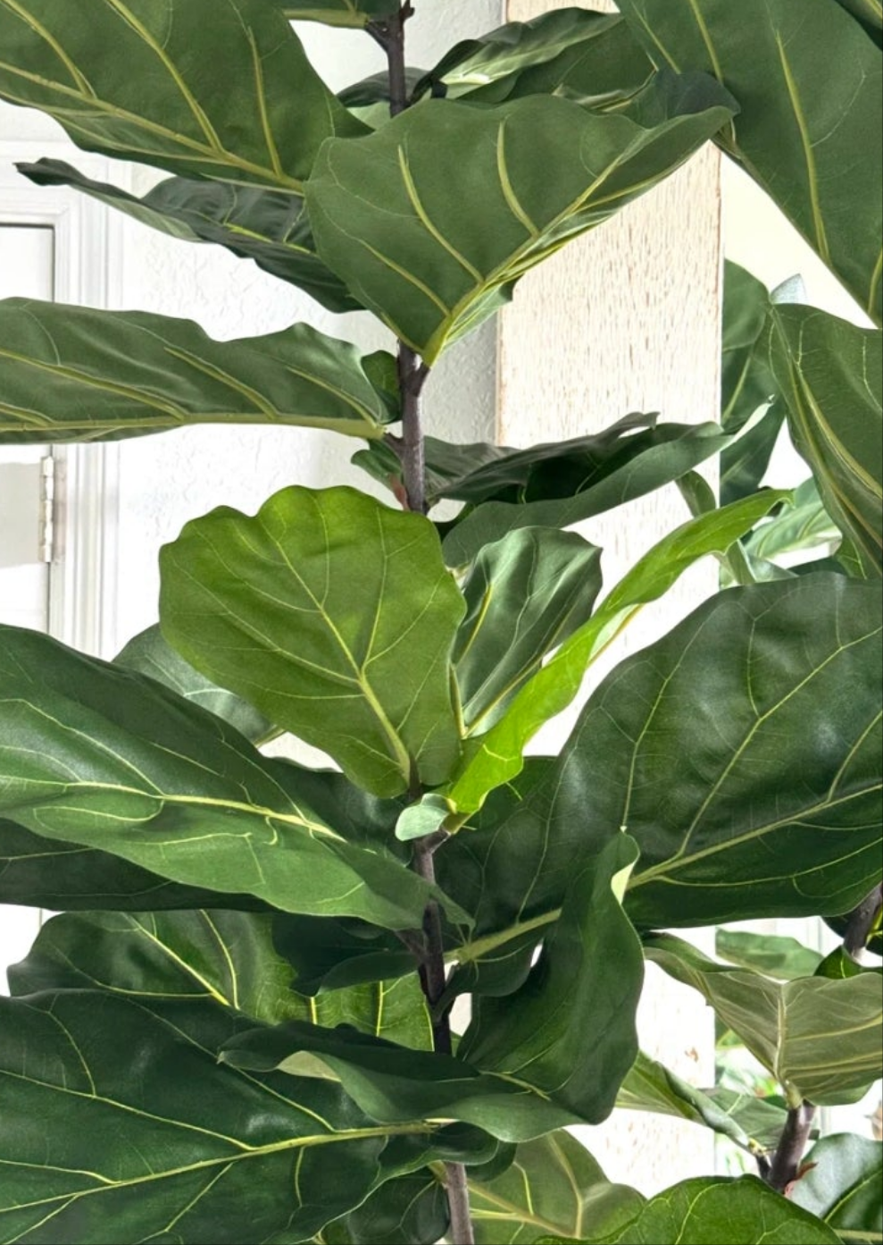 Fiddle 96'' Faux Fiddle Leaf Fig Tree in Metal Planter