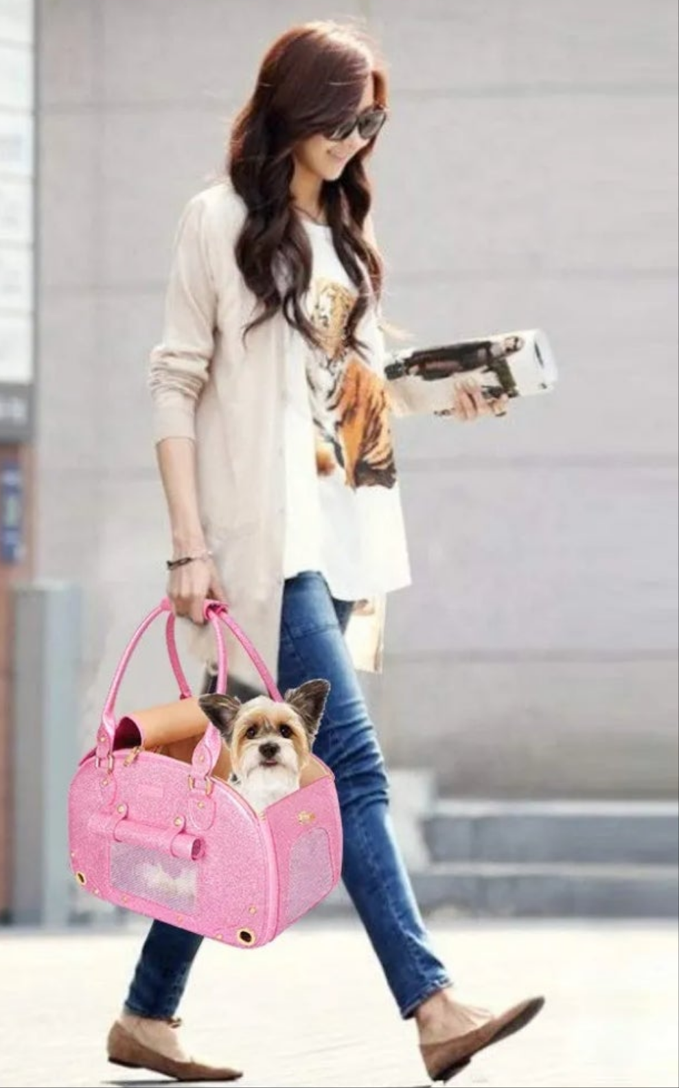Dog or Cat Carrier Purse, Pet Carrier, Cat Carrier, Foldable Waterproof Premium Nylon Pet Travel Portable Bag Carrier for Cat and Small Dog Home/Outdoor