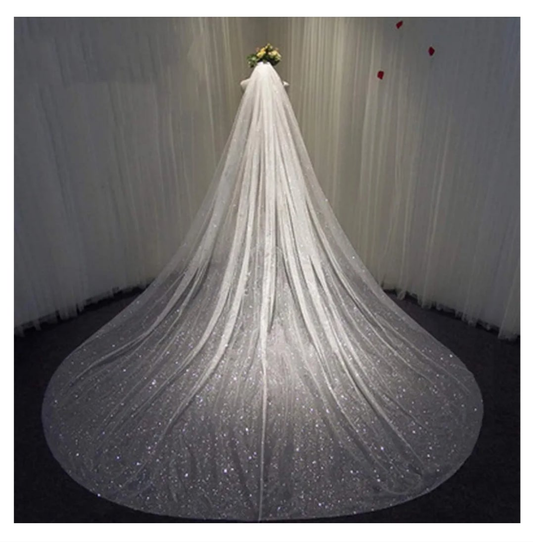Cathedral 1 Tier Bride Wedding Veil Sparkling Long Bridal Tulle Veil with Comb Drop Veil Cut Edge for Bride (118''W,