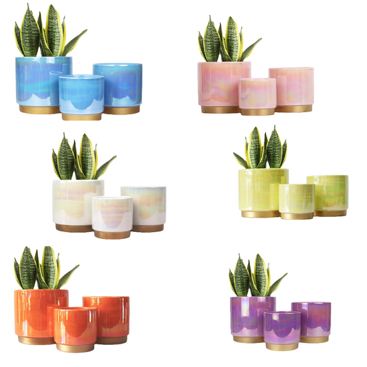3 Pots for Plants, Ceramic Planter with Drainage Hole, 6.0 inch+5.0 Inch+4.0 Inch. Succulent Orchid Flower Pot - Rainbow Pearl Glaze