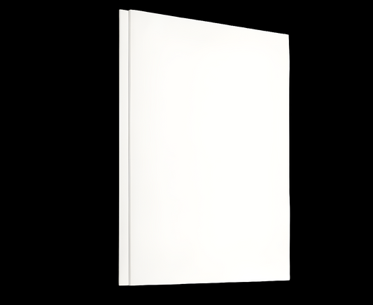 2 Large White 24" x 36" Stretched Artist Canvas, Pack of 2, Gesso Primed - 100% Cotton Rectangular Canvases, 5/8" Profile, Art Supplies for Oil and Acrylic Painting