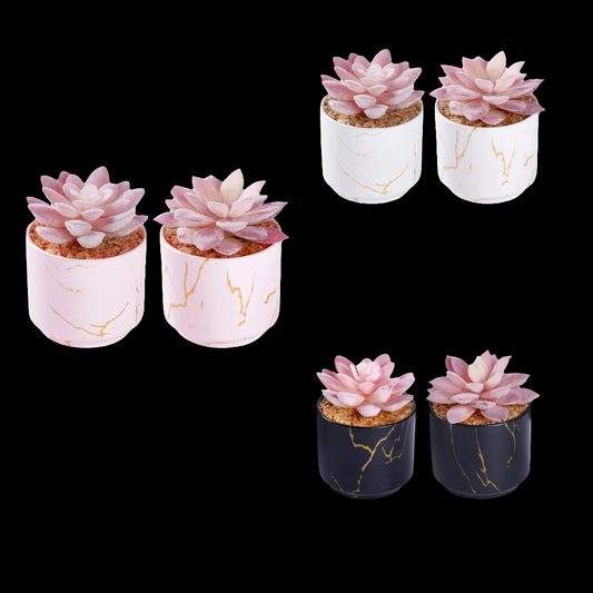 2 Ceramic Pots,Small Fake Plants for Office and Desk Decor,Bathroom, Bedroom,Shelves