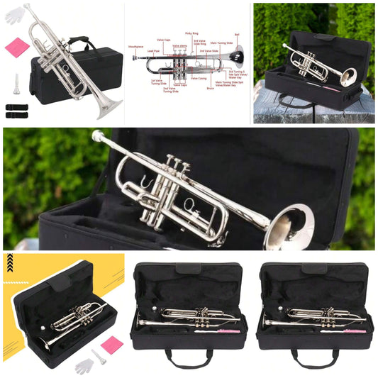 Small W/ Crisp Sound, Rich Timbre, Novel Quality Trumpet