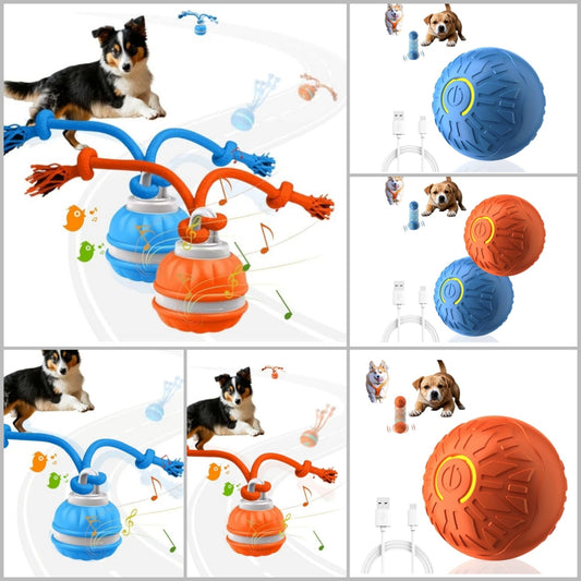 Active Rolling Ball Dogs and Cats, Squeaky, USB Rechargeable