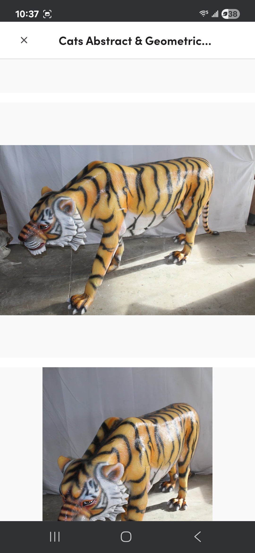 Life-size Fiberglass Tiger Statue. Handcrafted and casted, this stunning piece embodies power and grace. Add a touch of the wild to your space with this majestic sculpture. Size: 92"L x 20"W x 40"H. Weight is: 90L