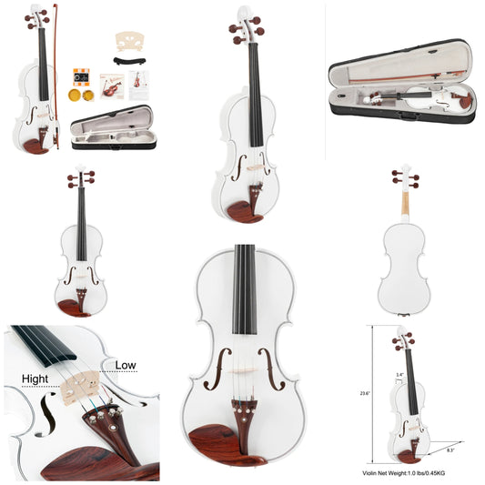 GV103 4/4 Spruce Panel Violin Matte White